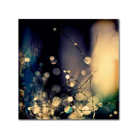 Trademark Fine Art Beata Czyzowska 'Fairies at Nighttime' Canvas Art, 35x35 BC0061-C3535GG